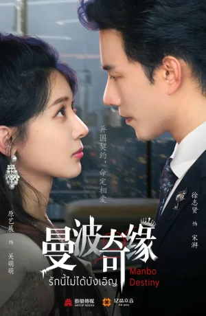 Дорама Дневник принцессы онлайн